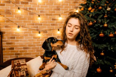 Güzel kıvırcık saçlı bir kız, Noel ağacının yanında bir köpek yavrusuyla oturuyor. Bir evcil hayvanla yılbaşı fotoğrafı. Kollarında köpek pençesi tutan bir kız. .