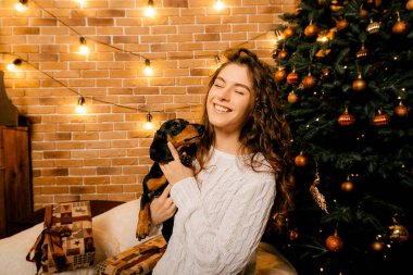 Güzel kıvırcık saçlı bir kız, Noel ağacının yanında bir köpek yavrusuyla oturuyor. Bir evcil hayvanla yılbaşı fotoğrafı. Kollarında köpek pençesi tutan bir kız. .