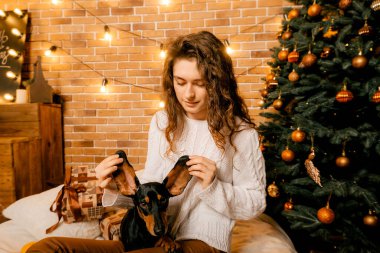Güzel kıvırcık saçlı bir kız, Noel ağacının yanında bir köpek yavrusuyla oturuyor. Bir evcil hayvanla yılbaşı fotoğrafı. Kollarında köpek pençesi tutan bir kız. .