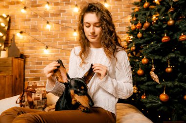 Güzel kıvırcık saçlı bir kız, Noel ağacının yanında bir köpek yavrusuyla oturuyor. Bir evcil hayvanla yılbaşı fotoğrafı. Kollarında köpek pençesi tutan bir kız. .