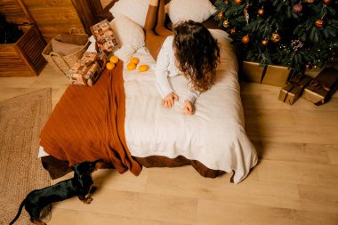 Kıvırcık saçlı güzel bir kız ve Noel ağacının yanında bir köpek yavrusu, bir evcil hayvanla yılbaşı fotoğrafı. Kollarında köpek pençesi tutan bir kız. .