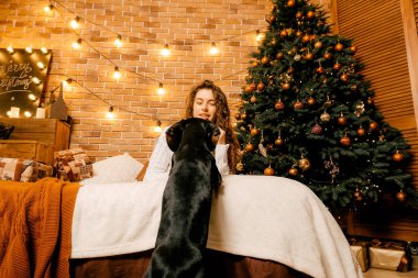 Kıvırcık saçlı güzel bir kız ve Noel ağacının yanında bir köpek yavrusu, bir evcil hayvanla yılbaşı fotoğrafı. Kollarında köpek pençesi tutan bir kız. .