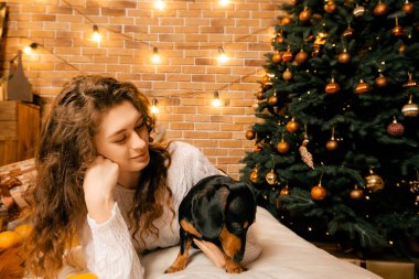 Kıvırcık saçlı güzel bir kız ve Noel ağacının yanında bir köpek yavrusu, bir evcil hayvanla yılbaşı fotoğrafı. Kollarında köpek pençesi tutan bir kız. .