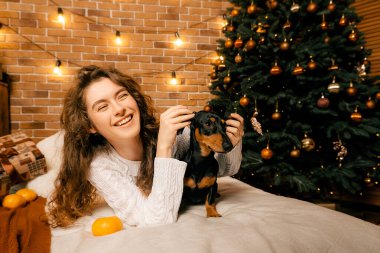 Kıvırcık saçlı güzel bir kız ve Noel ağacının yanında bir köpek yavrusu, bir evcil hayvanla yılbaşı fotoğrafı. Kollarında köpek pençesi tutan bir kız. .