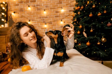 Kıvırcık saçlı güzel bir kız ve Noel ağacının yanında bir köpek yavrusu, bir evcil hayvanla yılbaşı fotoğrafı. Kollarında köpek pençesi tutan bir kız. .