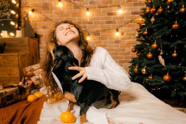 Kıvırcık saçlı güzel bir kız ve Noel ağacının yanında bir köpek yavrusu, bir evcil hayvanla yılbaşı fotoğrafı. Kollarında köpek pençesi tutan bir kız. .