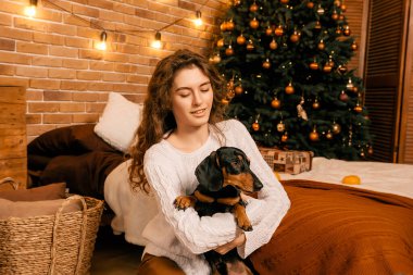 Güzel kıvırcık saçlı bir kız, Noel ağacının yanında bir köpek yavrusuyla oturuyor. Bir evcil hayvanla yılbaşı fotoğrafı. Kollarında köpek pençesi tutan bir kız. .