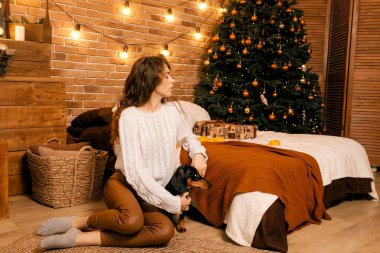 Güzel kıvırcık saçlı bir kız, Noel ağacının yanında bir köpek yavrusuyla oturuyor. Bir evcil hayvanla yılbaşı fotoğrafı. Kollarında köpek pençesi tutan bir kız. .