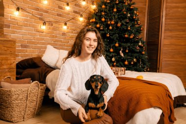 Güzel kıvırcık saçlı bir kız, Noel ağacının yanında bir köpek yavrusuyla oturuyor. Bir evcil hayvanla yılbaşı fotoğrafı. Kollarında köpek pençesi tutan bir kız. .