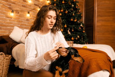 Güzel kıvırcık saçlı bir kız, Noel ağacının yanında bir köpek yavrusuyla oturuyor. Bir evcil hayvanla yılbaşı fotoğrafı. Kollarında köpek pençesi tutan bir kız. .