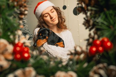 Kollarında siyah bir daksund tutan beyaz gözlü bir kız. Yılbaşı çelenginde bir portre. Noel kartı hediye olarak.