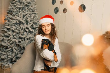 Koyu saçlı beyaz kazaklı güzel kıvırcık kız bir koltuğa oturur ve kollarında siyah bir dachshund tutar. Noel Baba şapkalı kız. Mutlu noel portreleri Noel ağacı arka planında