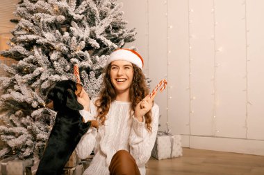Kıvırcık saçlı güzel bir kız Noel ağacının yanında bir köpekle oturuyor. Yeni yıl için şeker lolipopuyla fotoğraf çekimi..