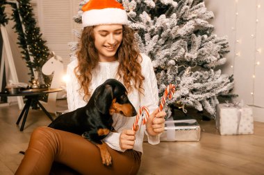 Kıvırcık saçlı güzel bir kız Noel ağacının yanında bir köpekle oturuyor. Yeni yıl için şeker lolipopuyla fotoğraf çekimi..