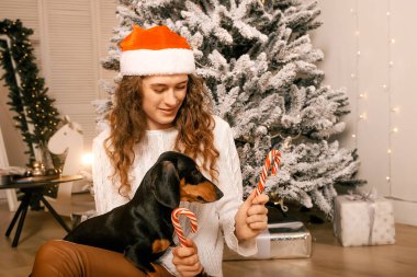 Kıvırcık saçlı güzel bir kız Noel ağacının yanında bir köpekle oturuyor. Yeni yıl için şeker lolipopuyla fotoğraf çekimi..