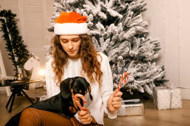 Kıvırcık saçlı güzel bir kız Noel ağacının yanında bir köpekle oturuyor. Yeni yıl için şeker lolipopuyla fotoğraf çekimi..