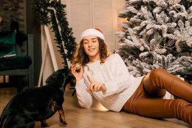 Beyaz kazaklı, siyah saçlı, yeni yıl oyuncağı tutan ve bir köpekle oynayan güzel kıvırcık kız. Noel sihri, Yeni Yıl portresi