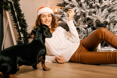 Beyaz kazaklı, siyah saçlı, yeni yıl oyuncağı tutan ve bir köpekle oynayan güzel kıvırcık kız. Noel sihri, Yeni Yıl portresi