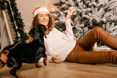 Beyaz kazaklı, siyah saçlı, yeni yıl oyuncağı tutan ve bir köpekle oynayan güzel kıvırcık kız. Noel sihri, Yeni Yıl portresi