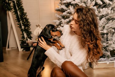 Güzel kıvırcık saçlı bir kız, Noel ağacının yanında bir köpek yavrusuyla oturuyor. Bir evcil hayvanla yılbaşı fotoğrafı. Kollarında köpek pençesi tutan bir kız. .