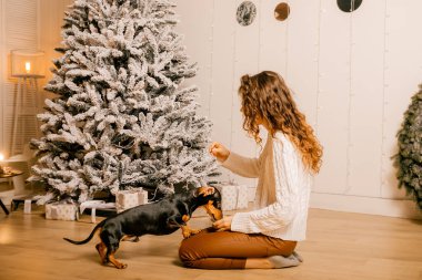 Beyaz kazaklı kıvırcık saçlı bir kız odada yerde oturuyor. Kadın ve köpek odada oynuyorlar. Kız köpeği besliyor..