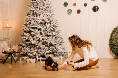 Beyaz kazaklı kıvırcık saçlı bir kız odada yerde oturuyor. Kadın ve köpek odada oynuyorlar. Kız köpeği besliyor..