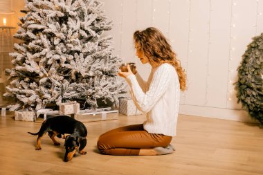 Beyaz kazaklı kıvırcık saçlı bir kız odada yerde oturuyor. Kadın ve köpek odada oynuyorlar. Kız köpeği besliyor..