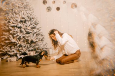 Beyaz kazaklı kıvırcık saçlı bir kız odada yerde oturuyor. Kadın ve köpek odada oynuyorlar. Kız köpeği besliyor..