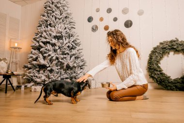 Beyaz kazaklı kıvırcık saçlı bir kız odada yerde oturuyor. Kadın ve köpek odada oynuyorlar. Kız köpeği besliyor..