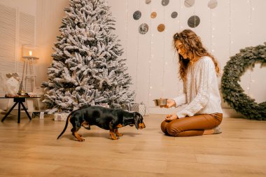 Beyaz kazaklı kıvırcık saçlı bir kız odada yerde oturuyor. Kadın ve köpek odada oynuyorlar. Kız köpeği besliyor..