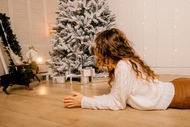 Güzel kıvırcık saçlı bir kız, Noel ağacının yanında bir köpek yavrusuyla oturuyor. Bir evcil hayvanla yılbaşı fotoğrafı. Kollarında köpek pençesi tutan bir kız. .