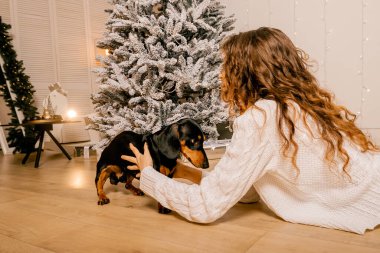 Güzel kıvırcık saçlı bir kız, Noel ağacının yanında bir köpek yavrusuyla oturuyor. Bir evcil hayvanla yılbaşı fotoğrafı. Kollarında köpek pençesi tutan bir kız. .