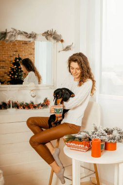 Koyu saçlı beyaz kazaklı güzel kıvırcık kız bir koltuğa oturur ve kollarında siyah bir dachshund tutar. Bir Noel ağacının ve beyaz bir pencerenin arkasında mutlu yıllar portresi