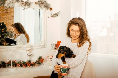 Koyu saçlı beyaz kazaklı güzel kıvırcık kız bir koltuğa oturur ve kollarında siyah bir dachshund tutar. Bir Noel ağacının ve beyaz bir pencerenin arkasında mutlu yıllar portresi