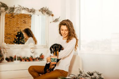Koyu saçlı beyaz kazaklı güzel kıvırcık kız bir koltuğa oturur ve kollarında siyah bir dachshund tutar. Bir Noel ağacının ve beyaz bir pencerenin arkasında mutlu yıllar portresi