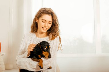 Koyu saçlı beyaz kazaklı güzel kıvırcık kız bir koltuğa oturur ve kollarında siyah bir dachshund tutar. Bir Noel ağacının ve beyaz bir pencerenin arkasında mutlu yıllar portresi