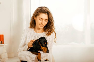 Koyu saçlı beyaz kazaklı güzel kıvırcık kız bir koltuğa oturur ve kollarında siyah bir dachshund tutar. Bir Noel ağacının ve beyaz bir pencerenin arkasında mutlu yıllar portresi