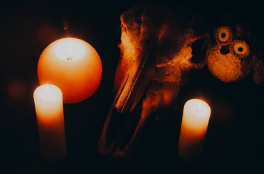 Mavi saçlı kız gece karanlik bir odada, mum yanginda ve inek kafasinda...