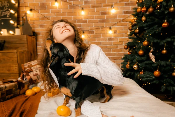 Kıvırcık saçlı güzel bir kız ve Noel ağacının yanında bir köpek yavrusu, bir evcil hayvanla yılbaşı fotoğrafı. Kollarında köpek pençesi tutan bir kız. .