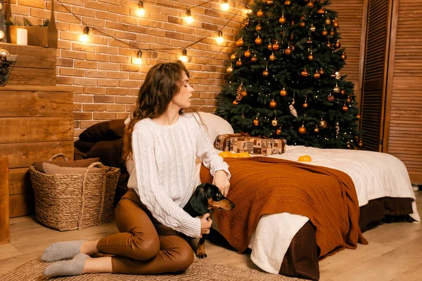 Güzel kıvırcık saçlı bir kız, Noel ağacının yanında bir köpek yavrusuyla oturuyor. Bir evcil hayvanla yılbaşı fotoğrafı. Kollarında köpek pençesi tutan bir kız. .