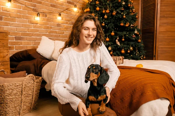 Güzel kıvırcık saçlı bir kız, Noel ağacının yanında bir köpek yavrusuyla oturuyor. Bir evcil hayvanla yılbaşı fotoğrafı. Kollarında köpek pençesi tutan bir kız. .