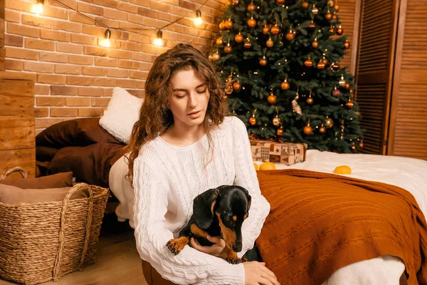 Güzel kıvırcık saçlı bir kız, Noel ağacının yanında bir köpek yavrusuyla oturuyor. Bir evcil hayvanla yılbaşı fotoğrafı. Kollarında köpek pençesi tutan bir kız. .