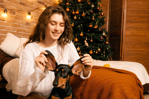 Güzel kıvırcık saçlı bir kız, Noel ağacının yanında bir köpek yavrusuyla oturuyor. Bir evcil hayvanla yılbaşı fotoğrafı. Kollarında köpek pençesi tutan bir kız. .