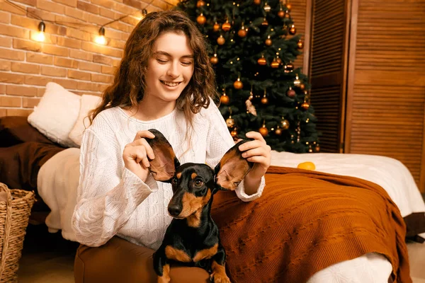 Güzel kıvırcık saçlı bir kız, Noel ağacının yanında bir köpek yavrusuyla oturuyor. Bir evcil hayvanla yılbaşı fotoğrafı. Kollarında köpek pençesi tutan bir kız. .