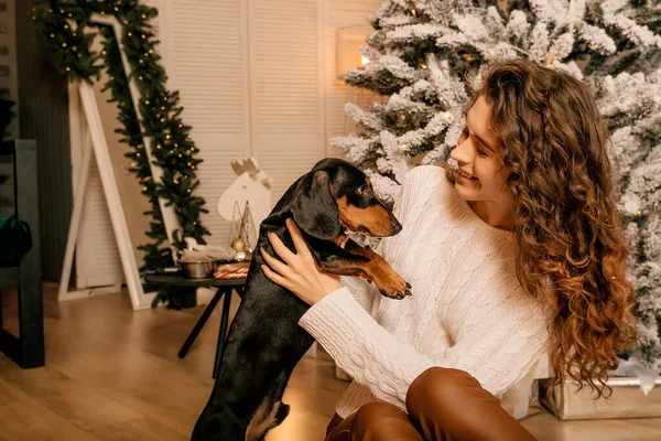 Güzel kıvırcık saçlı bir kız, Noel ağacının yanında bir köpek yavrusuyla oturuyor. Bir evcil hayvanla yılbaşı fotoğrafı. Kollarında köpek pençesi tutan bir kız. .