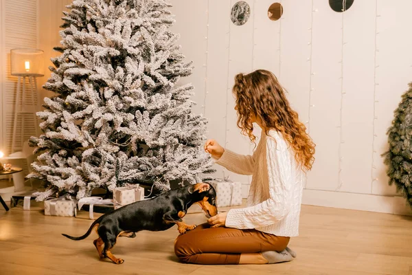 Beyaz kazaklı kıvırcık saçlı bir kız odada yerde oturuyor. Kadın ve köpek odada oynuyorlar. Kız köpeği besliyor..