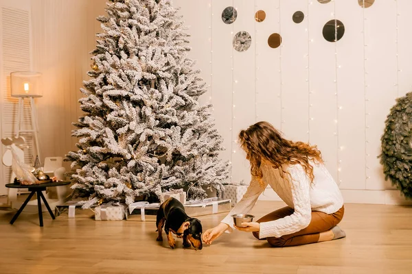 Beyaz kazaklı kıvırcık saçlı bir kız odada yerde oturuyor. Kadın ve köpek odada oynuyorlar. Kız köpeği besliyor..