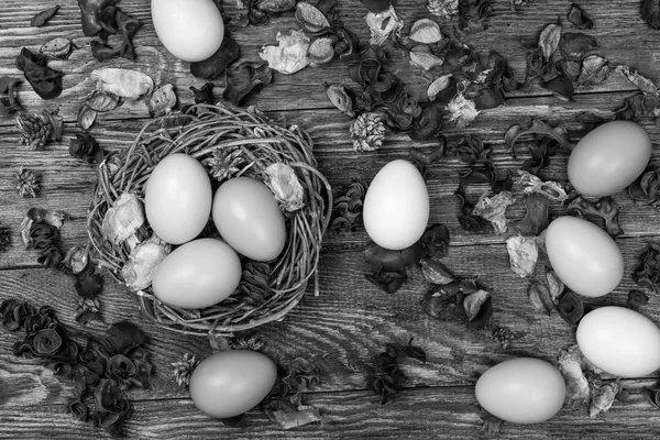 Ostereier im Vogelnest auf Holzgrund — Stockfoto