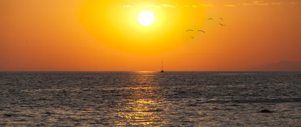 Amazin fondo del amanecer con barco y gaviotas — Foto de Stock