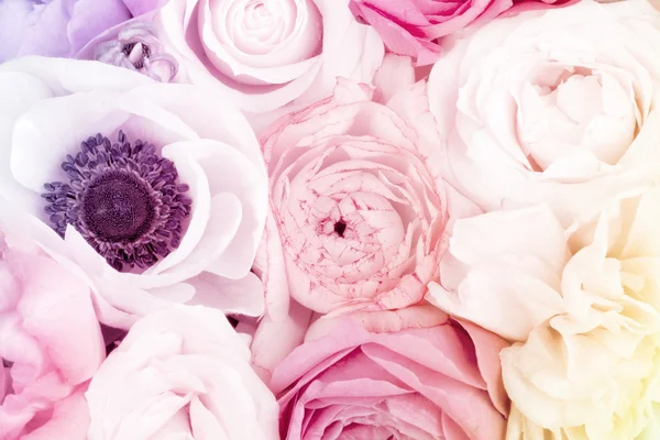 İnanılmaz çiçek buketi. Yaklaş.